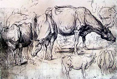 Study Of Cows by Peter Paul Rubens Pricing Limited Edition Print image