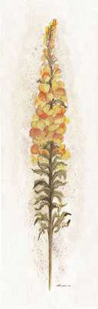 Snap Dragon by Consuelo Gamboa Pricing Limited Edition Print image