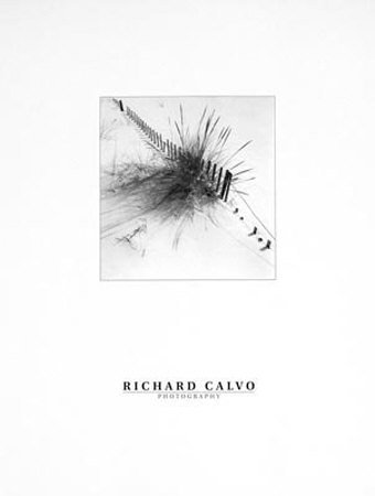 Winter Celebration by Richard Calvo Pricing Limited Edition Print image