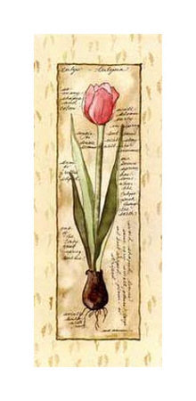 Tulip by Mary Hughes Pricing Limited Edition Print image