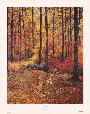 In The Woods by Jane V. Chenoweth Pricing Limited Edition Print image