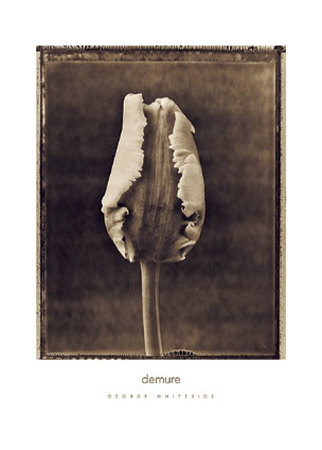 Demure by George Whiteside Pricing Limited Edition Print image
