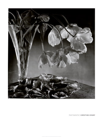 Transparence by Christian Coigny Pricing Limited Edition Print image