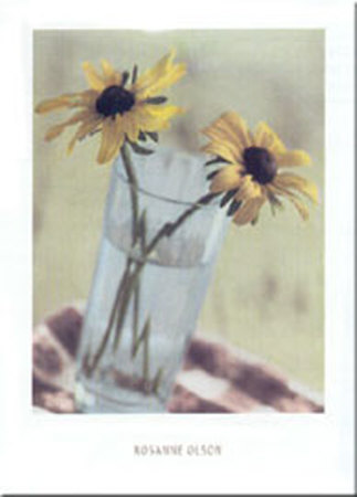 Two Black-Eyed Marigolds by Rosanne Olsen Pricing Limited Edition Print image