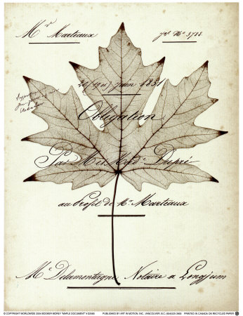 Maple Document by Booker Morey Pricing Limited Edition Print image