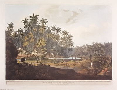View Near Point De Galle, Ceylon by Henry Salt Pricing Limited Edition Print image