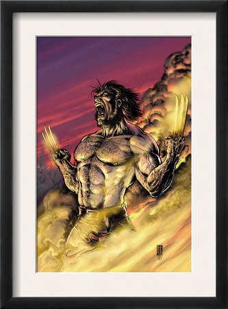 Wolverine #17 Cover: Wolverine by Darick Robertson Pricing Limited Edition Print image