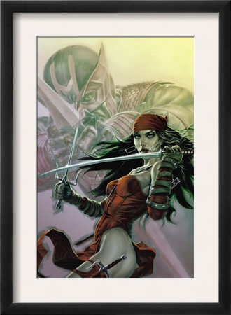Dark Reign: Elektra #3 Cover: Elektra by Lee Bermejo Pricing Limited Edition Print image
