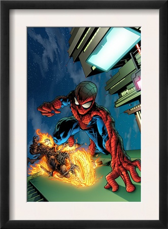 Timestorm 2009/2099 #4 Cover: Spider-Man And Ghost Rider by Tom Raney Pricing Limited Edition Print image