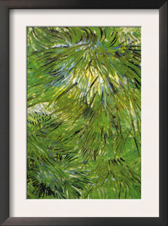 Grass by Vincent Van Gogh Pricing Limited Edition Print image