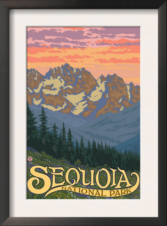 Sequoia Nat'l Park - Spring Flowers - Lp Poster, C.2009 by Lantern Press Pricing Limited Edition Print image