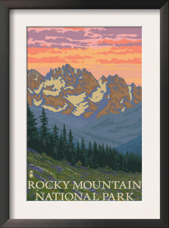 Rocky Mountain National Park, Co - Spring Flowers, C.2009 by Lantern Press Pricing Limited Edition Print image