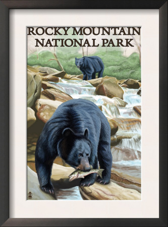 Rocky Mountain National Park, Co - Bears Fishing, C.2009 by Lantern Press Pricing Limited Edition Print image