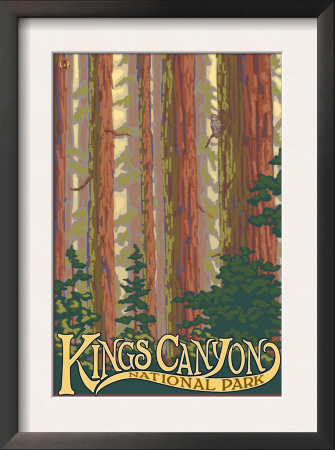 Kings Canyon Nat'l Park - Forest View - Lp Poster, C.2009 by Lantern Press Pricing Limited Edition Print image