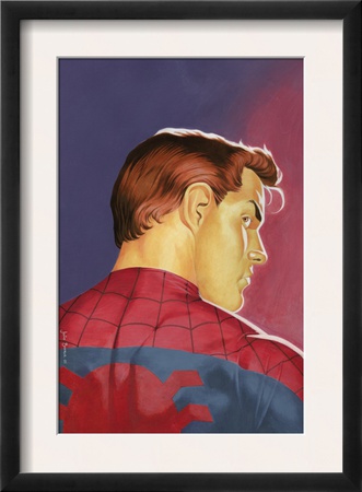 Spider-Man Unlimited #13 Cover: Peter Parker And Spider-Man by Joao Silveira Pricing Limited Edition Print image