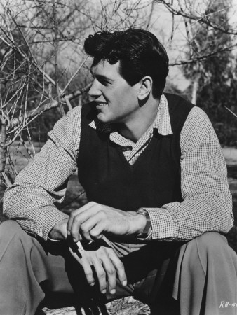 Rock Hudson by Leonia Celli Pricing Limited Edition Print image