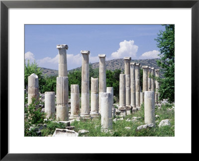 Ionic Columns, Aphrodisias, Turkey by Phyllis Picardi Pricing Limited Edition Print image