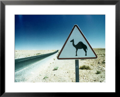 Camel Crossing Sign by Peter Adams Pricing Limited Edition Print image