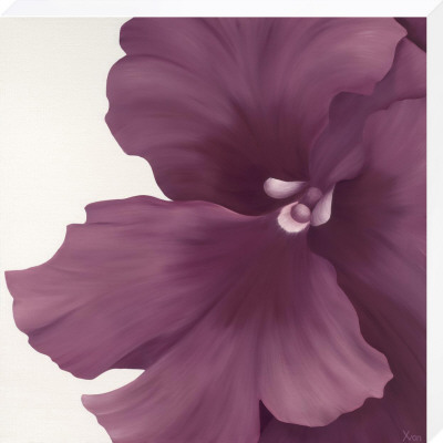 Violet Flower I by Yvonne Poelstra-Holzhaus Pricing Limited Edition Print image