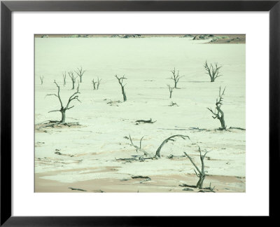 Desert Scene, Namib Desert, Namibia, S.W. Africa by Gallo Images Pricing Limited Edition Print image