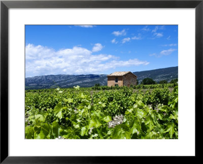 Cottage In The Vines, Ventoux, France by Alain Christof Pricing Limited Edition Print image