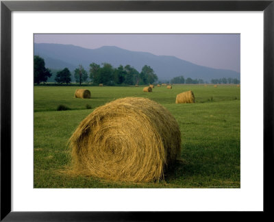 Evening Light On Freshly Baled Hay, Tn by Willard Clay Pricing Limited Edition Print image