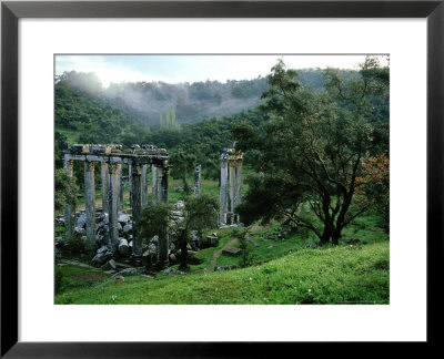 Greek Temple Of Euromos Amidst Intact Mediterranean Landscape With Olive Trees, W. Turkey by Berndt Fischer Pricing Limited Edition Print image