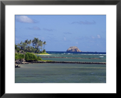 Hawaiian Fishpond, Hawaii, Moku Hooniki Island In Background by David B. Fleetham Pricing Limited Edition Print image