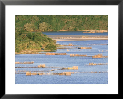 Kosi Bay Lagoon Fisheries, South Africa by Patricio Robles Gil Pricing Limited Edition Print image