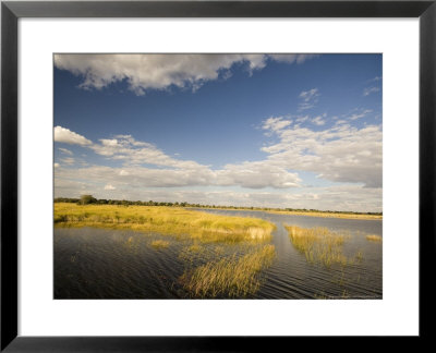 Lagoon, Botswana by Mike Powles Pricing Limited Edition Print image