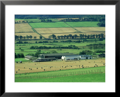 Farmland, Ross-Shire, Scotland by Iain Sarjeant Pricing Limited Edition Print image