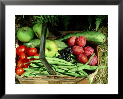 Garden Fruits by David Tipling Pricing Limited Edition Print image