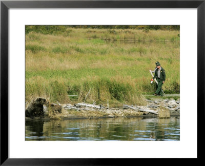 Alaskan Brown Bear, Rangers Approaching Adult Bear On Shore Of River, Alaska by Roy Toft Pricing Limited Edition Print image