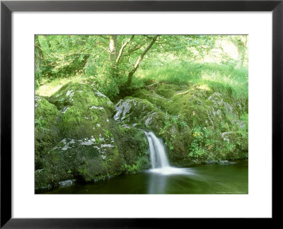 Aira Beck Between Falls Of High Force And Aira Force, The Lake District, Uk by Ian West Pricing Limited Edition Print image
