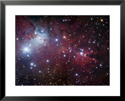 Ngc 2264, The Cone Nebula Region by Stocktrek Images Pricing Limited Edition Print image
