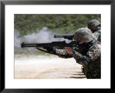 Marines Fire Joint Service Combat Shotguns by Stocktrek Images Pricing Limited Edition Print image