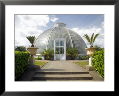 The Palm House Conservatory, Kew Gardens, Unesco World Heritage Site, London, England by David Hughes Pricing Limited Edition Print image