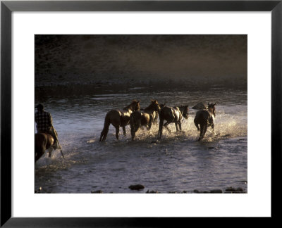 Herdsman And Horses Cross The Lake At Sunset, Great White Lake, Mongolia by Keren Su Pricing Limited Edition Print image