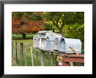 Letterboxes, King Country, North Island, New Zealand by David Wall Pricing Limited Edition Print image