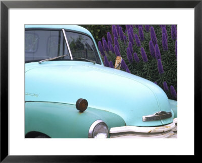Old Classic Plymouth, California, Usa by Bill Bachmann Pricing Limited Edition Print image
