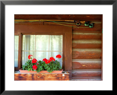 Fly Fishing Rods On Cabin Wall, Lake City, Colorado, Usa by Janell Davidson Pricing Limited Edition Print image