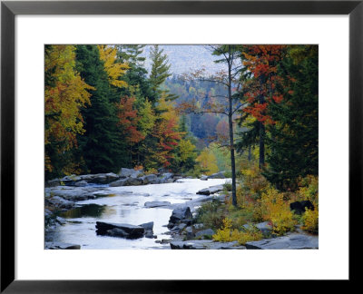 White Mountains National Forest, Near Jackson, New Hampshire, Usa by Fraser Hall Pricing Limited Edition Print image