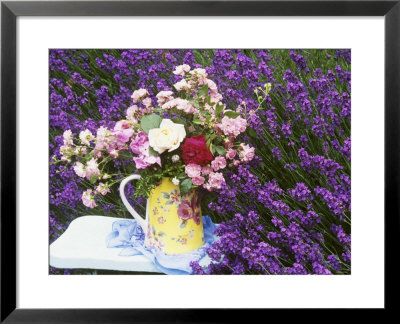 Roses On A Stool In A Field Of Lavender by Linda Burgess Pricing Limited Edition Print image