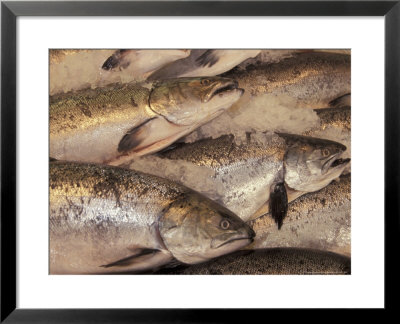 Fresh Fish At Pike Place Market, Seattle, Washington, Usa by John & Lisa Merrill Pricing Limited Edition Print image