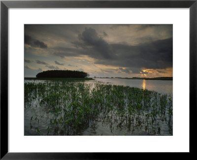 Marsh Plants And Clouds In The Atchafalaya At Twilight by James P. Blair Pricing Limited Edition Print image