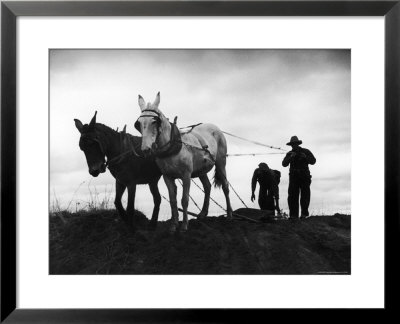 Farmers Preparing The Ground For Spring Planting by Carl Mydans Pricing Limited Edition Print image