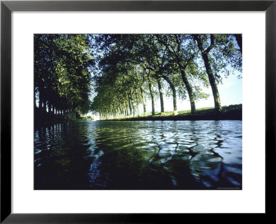 Elm Trees Line Languedoe Canal, Trebes, Southern France East Of Toulouse by Walter Sanders Pricing Limited Edition Print image