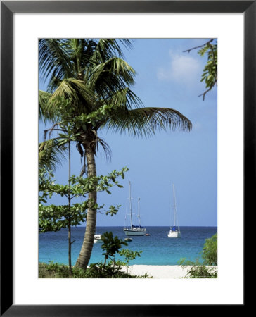 Yachts And Palms, Barbados, West Indies, Caribbean, Central America by J Lightfoot Pricing Limited Edition Print image