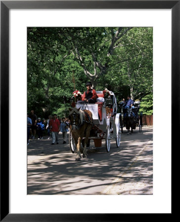 Horse Drawn Carriage In Central Park, Manhattan, New York, New York State, Usa by Yadid Levy Pricing Limited Edition Print image