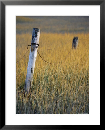 Fence Posts In Salt Grass, Hope, Alaska, United States Of America, North America by James Hager Pricing Limited Edition Print image